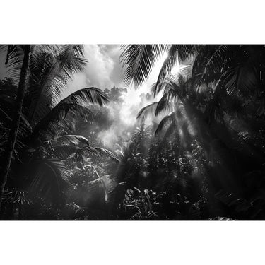 Tableau Jungle en Noir Et Blanc